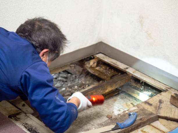 Water Damage Restoration in Milliken, CO